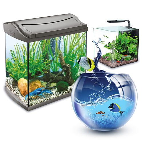 Изготовление аквариумов и террариумов из стекла по Вашим размерам