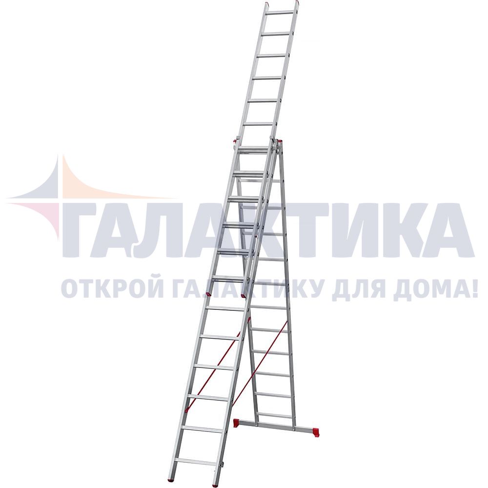 Трехсекционная Лестница Вектор 3х10 Купить В Минске
